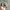 Von Dutch Vintage Y2K Hat Pria gray photo 3