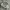 Von Dutch Vintage Y2K Hat Pria gray photo 5