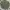 Luxury Minimalist Cardigan Wanita green photo 2