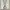 Reebok Sportswear Sneakers Pria white photo 3