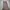 Casual Maxi dress Wanita tan cream photo 2