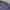 Beanpole Vintage Reworked Harrington jacket Pria purple photo 4