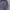 Beanpole Vintage Reworked Harrington jacket Pria purple photo 3
