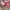 Sanrio Casual Sweatshirt Wanita pink photo 2