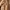 Vintage Casual Jumpsuit Wanita tan photo 3