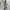 Uniqlo Minimalist Casual Harrington jacket Pria white cream photo 6