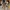 Nike Streetwear Sportswear Sneakers Pria multicolor gray photo 4