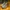 Nike Streetwear Sportswear Sneakers Pria multicolor gray photo 1