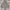 Japanese brand Vintage Casual Harrington jacket Pria tan photo 1