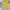 Hai Sporting Gear Vintage Y2K Casual shirt Pria yellow photo 3