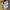 Hai Sporting Gear Vintage Y2K Casual shirt Pria yellow photo 5