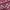 Coach Coquette Casual Bags & purse Wanita pink photo 6