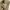 Kangol Casual Hoody Pria brown photo 6