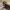 Fossil Vintage Casual Bags & purse Wanita brown photo 4