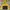 Gorpcore Casual Windbreaker Pria black yellow photo 2