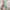 Shein Minimalist Casual Maxi skirt Wanita green photo 2