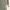Shein Minimalist Casual Maxi skirt Wanita green photo 3