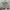 Sportswear Casual Windbreaker Pria gray photo 3