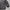 Streetwear Casual Windbreaker Pria black photo 3
