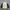 Vintage Casual Windbreaker Pria gray photo 4