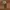 Marmot Gorpcore Casual Track jacket Pria cream photo 5