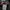 Marmot Gorpcore Casual Track jacket Pria cream photo 7