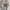 Made in USA Streetwear Jersey Pria cream photo 1