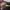Gucci Casual Handbag Wanita red photo 6