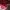 Gucci Casual Handbag Wanita red photo 3