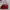 Gucci Casual Handbag Wanita Red