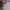 Balenciaga Casual Handbag Wanita pink photo 7