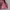 Balenciaga Casual Handbag Wanita pink photo 5