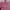 Balenciaga Casual Handbag Wanita pink photo 2