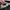 Gucci Lolita Handbag Wanita black photo 8