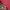 Dior Futurist Handbag Wanita red photo 2