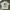 Casual T-shirt Pria White