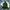 Polo Ralph Lauren Vintage Casual Trench coat Pria white green photo 1