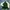 Polo Ralph Lauren Vintage Casual Trench Coat Pria White Green