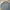 Nike Streetwear Sportswear Sweatshirt Pria gray photo 1