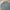 Nike Streetwear Sportswear Sweatshirt Pria Gray