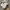 Nike Streetwear Sportswear Sweatshirt Pria gray photo 4