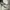 Nike Streetwear Sportswear Sweatshirt Pria gray photo 5