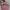 Fendi Futurist Handbag Wanita pink photo 1