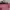 Fendi Futurist Handbag Wanita pink photo 3