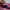 Fendi Futurist Handbag Wanita pink photo 5