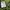 HUF Skater Casual Bomber jacket Pria green navy photo 7