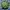 HUF Skater Casual Bomber jacket Pria green navy photo 6