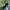 HUF Skater Casual Bomber jacket Pria green navy photo 5