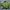 HUF Skater Casual Bomber jacket Pria green navy photo 4
