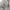 Made in USA Vintage Y2K T-shirt Pria white gray photo 3
